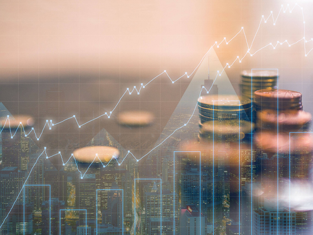 項(xiàng)目投資