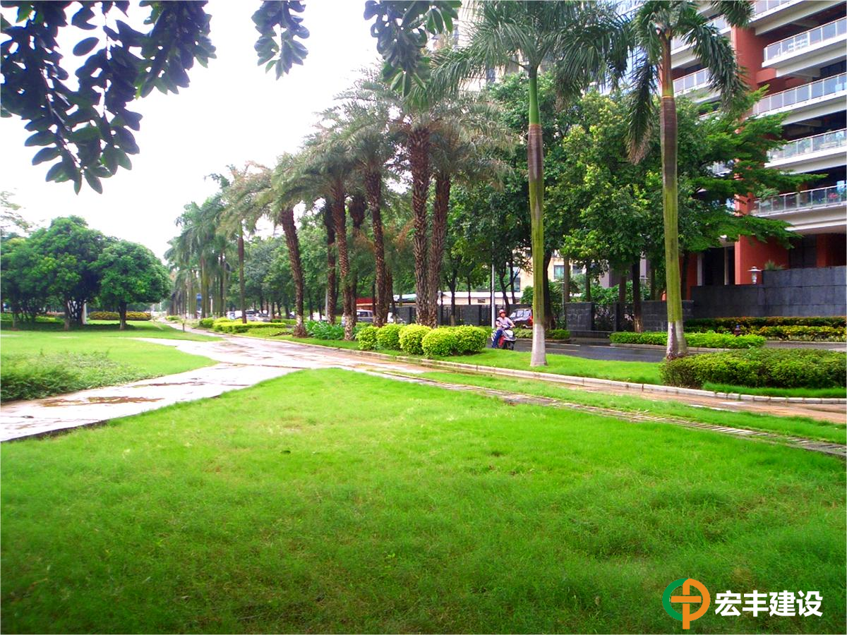 城區(qū)建設(shè)開(kāi)發(fā)中心綠化管養(yǎng)項(xiàng)目